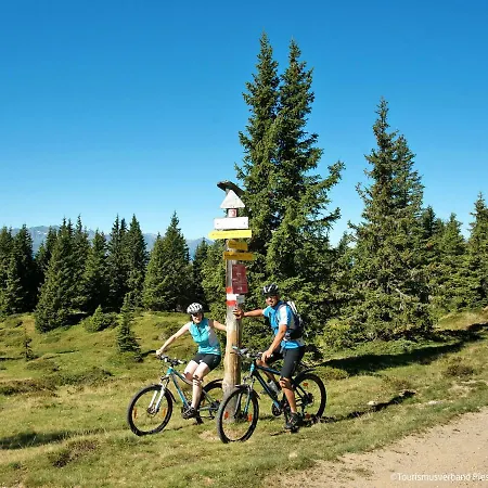 Bauernhof Gasteg-3 By Interhome アパート ピーゼンドルフ